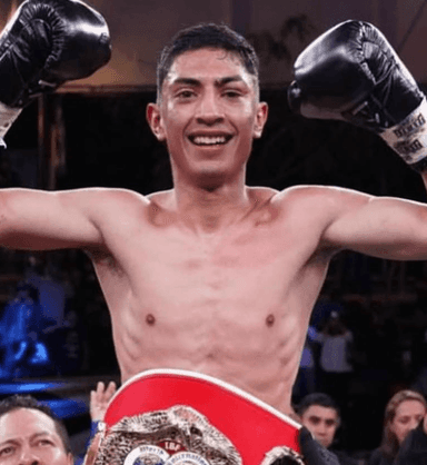 Ring Ranking Fighter