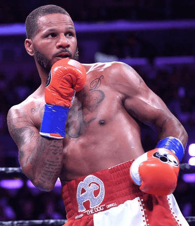 Ring Ranking Fighter