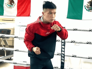 Ring Ranking Fighter