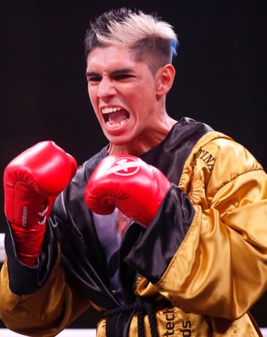 Ring Ranking Fighter