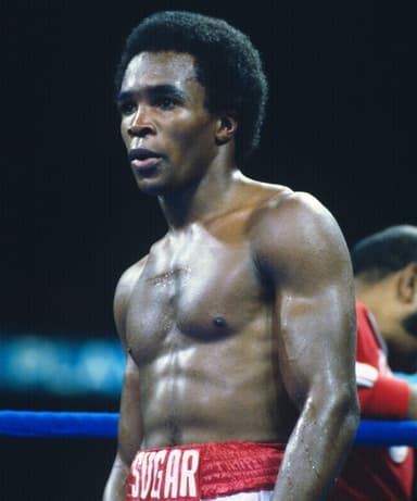 Ring Ranking Fighter