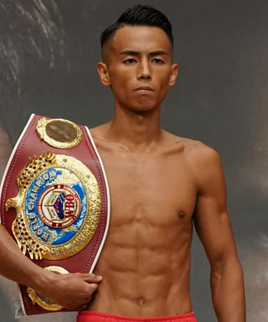Ring Ranking Fighter