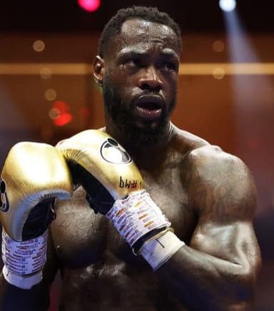 Ring Ranking Fighter