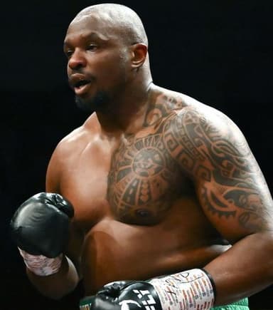 Ring Ranking Fighter
