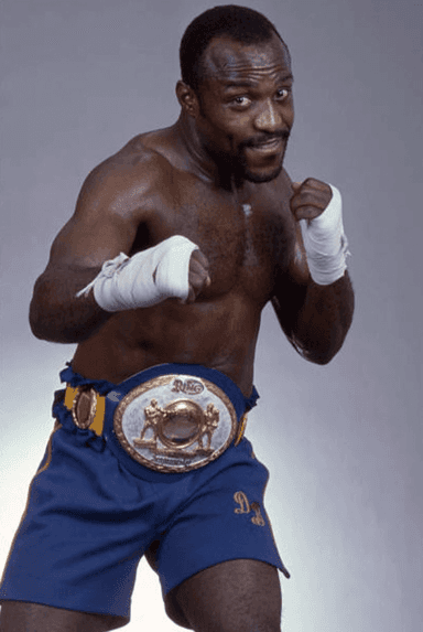 Ring Ranking Fighter