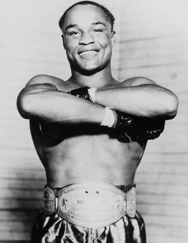 Ring Ranking Fighter