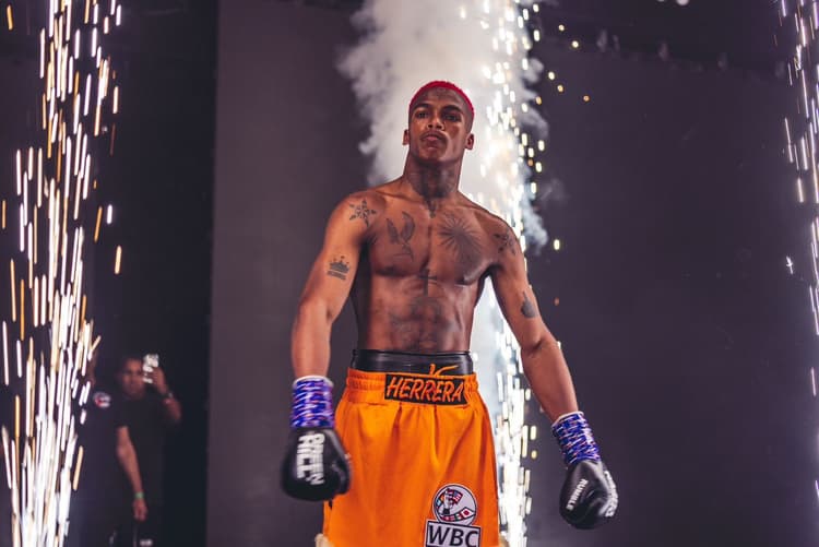 WBC Again Approves Nunez-Herrera As Fight For Interim Lightweight Title