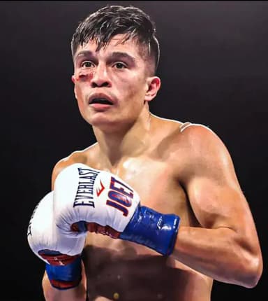 Ring Ranking Fighter