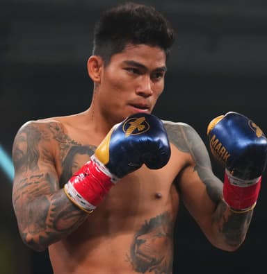 Ring Ranking Fighter