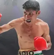 Ring Ranking Hero