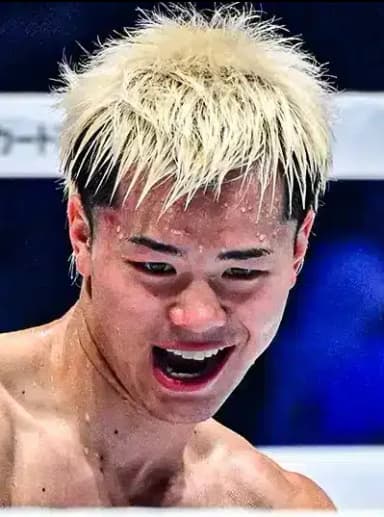 Ring Ranking Fighter