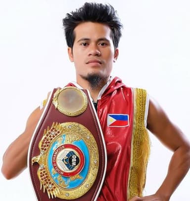 Ring Ranking Fighter