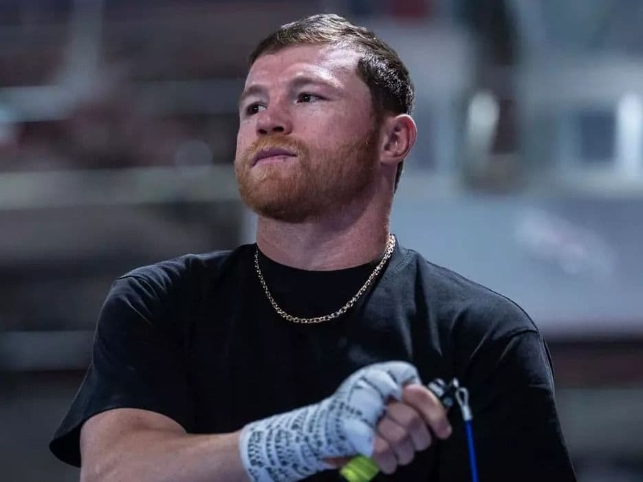 Canelo Alvarez Needs Elbow Surgery, Planned February Return Delayed Indefinitely