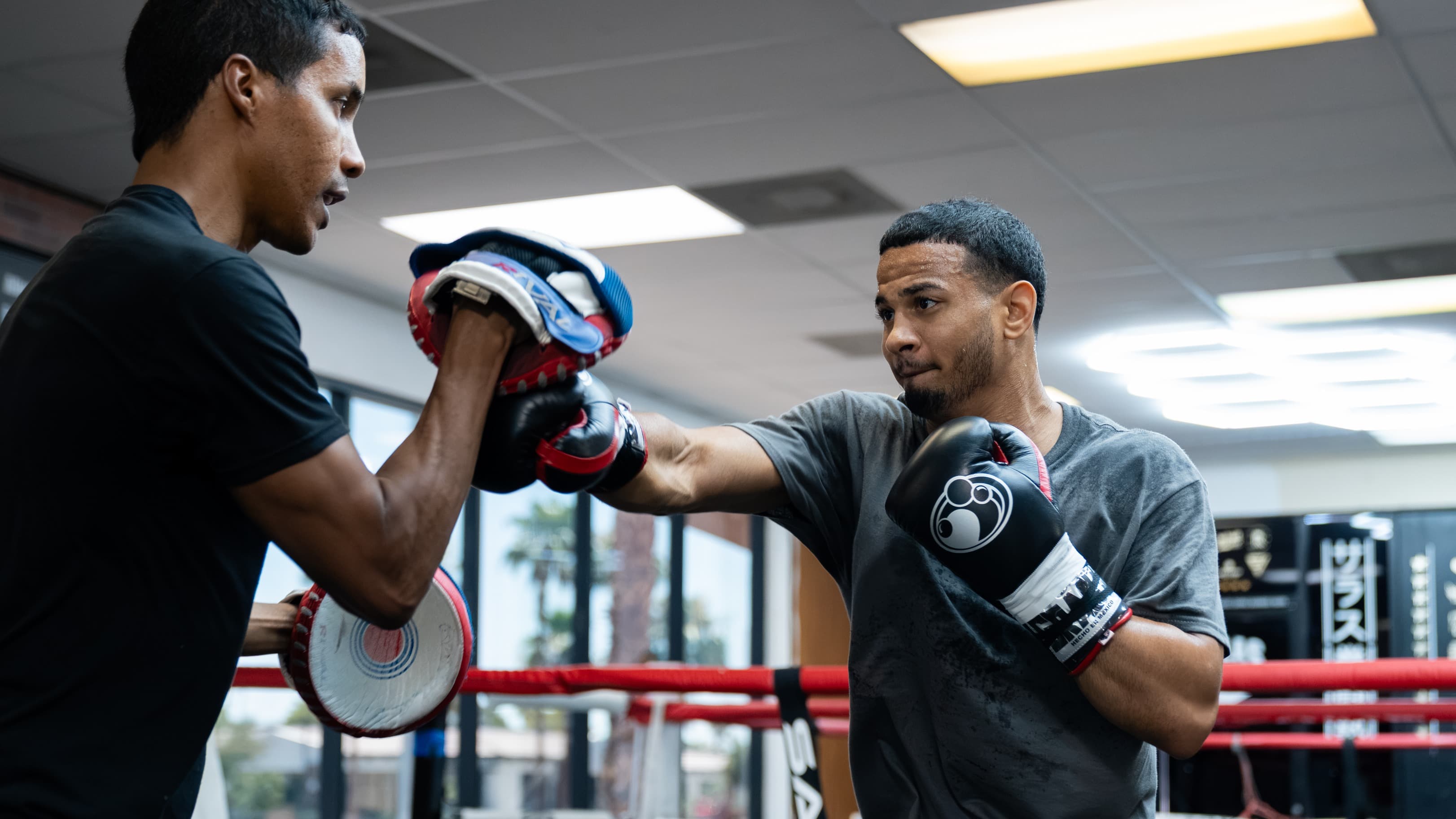 'Champion for a reason': Lopez likens Romero to Lomachenko, Stevenson