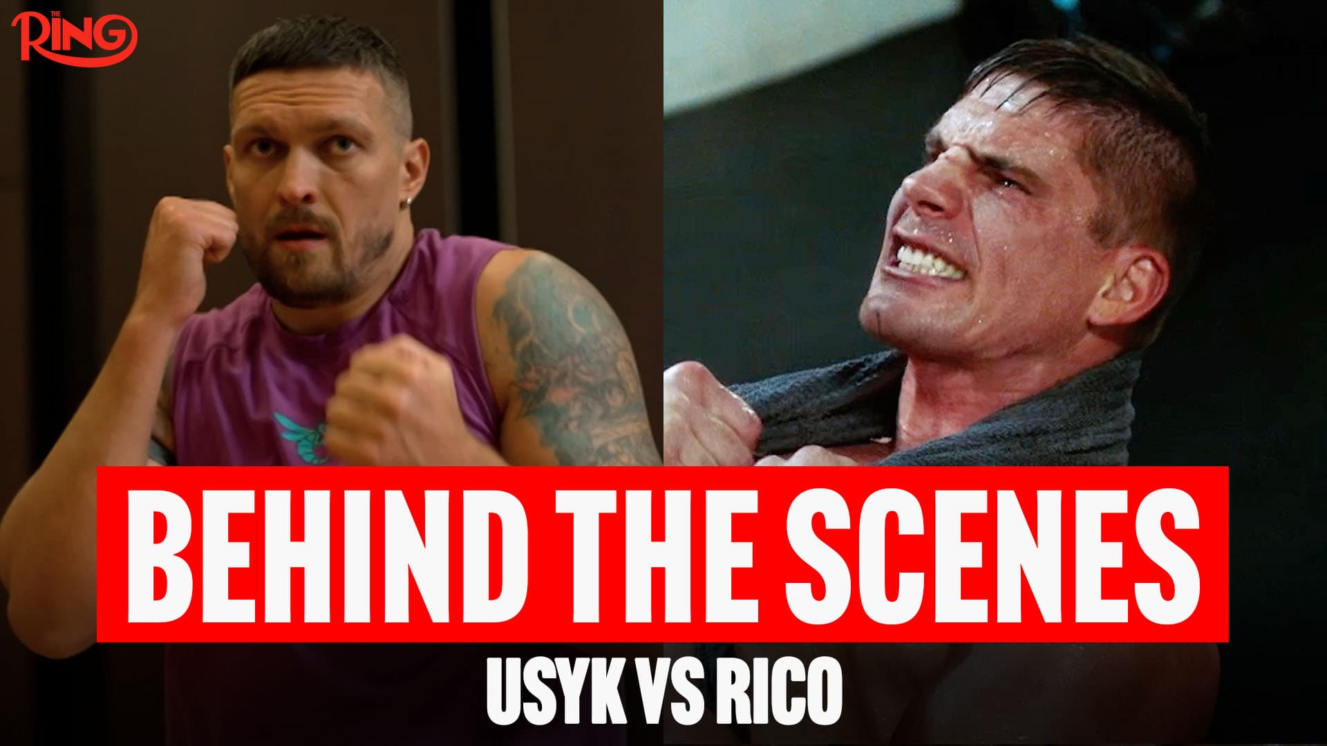 One week out: Usyk-Verhoeven - Behind the scenes preview