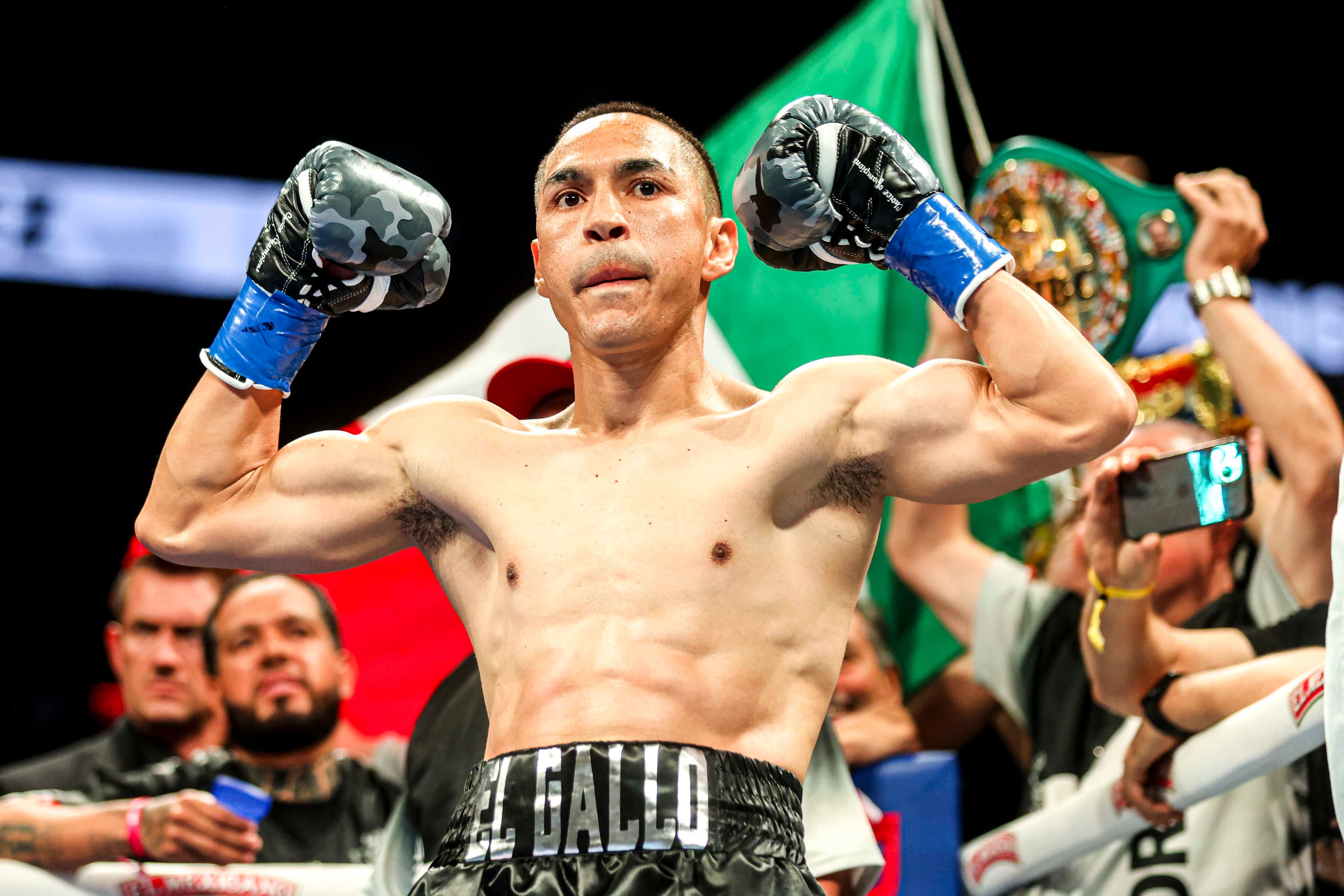 Estrada vs. Nasukawa WBC title eliminator set for April 10 in Japan